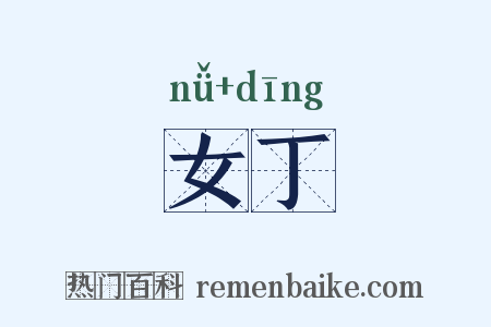 女丁是什么意思的图片